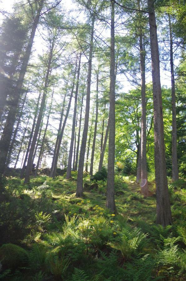 Holiday home Ruskin Argyll, By Puck's Glen, Rashfield Near